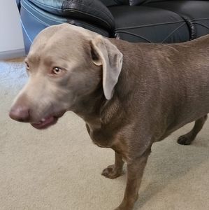 Meet your Posher, Samiah